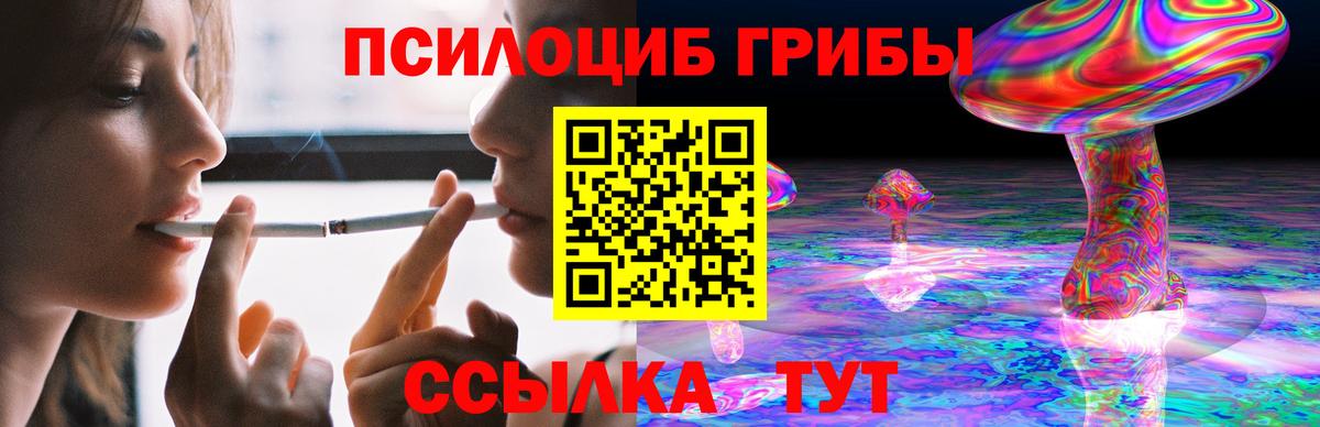 Псилоцибиновые грибы мицелий Карпинск