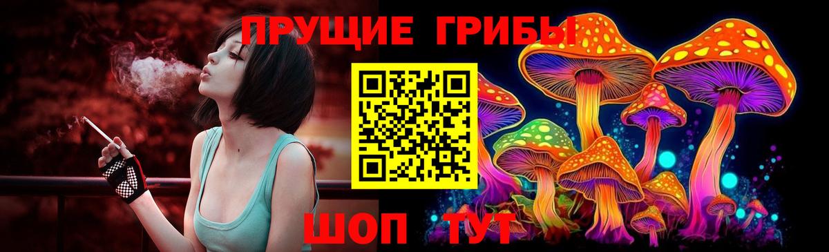 Карпинск  Галлюциногенные грибы MAGIC MUSHROOMS  Вход с VPN 